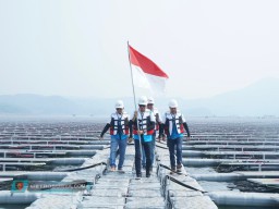 Komitmen Transisi Energi, PLN Raih Anugerah Ekonomi Hijau untuk Infrastruktur EBT Ramah Lingkungan