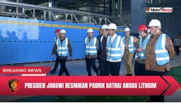 Diresmikan Presiden Jokowi, PLN Pastikan Keandalan Pasokan Listrik untuk Pabrik Baterai Anoda di KEK Kendal