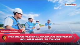 PLN Siap Hadirkan 100 Persen Listrik Hijau pada HUT RI Ke-79 di IKN