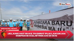 Pastikan Kelancaran HUT RI ke-79, Dirut PLN Cek Langsung Keandalan Infrastruktur Kelistrikan di IKN