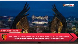 Keandalan Listrik PLN pada Perayaan HUT ke-79 RI di IKN Diapresiasi Berbagai Kalangan