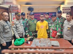 TNI AL KEMBALI BERHASIL GAGALKAN PENYELUNDUPAN GANJA DI PELABUHAN LAUT JAYAPURA.