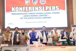 Tindakan Hukum Tegas Bagi Pelaku Perdagangan Benih Lobster Ilegal di Lampung
