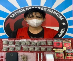 Polrestabes Surabaya Bekuk Pengedar Narkotika Jenis Ganja di Sidoarjo