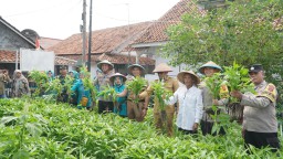 Kapolres Cirebon Kota Hadiri Kegiatan Panen Kangkung dan Cabe di KPLH Warnasari Berseri
