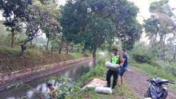 Polisi Bersama Perangkat Desa Tebar 10.000 Bibit Ikan di Bondowoso,Wujudkan Ketahanan Pangan