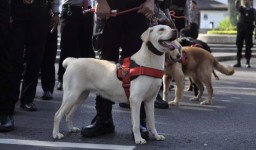 Siaga! K-9 Polda Jabar Patroli di Titik-Titik Vital Selama Nataru