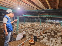 Momen Nataru, Tarif Listrik TW I 2025 Tetap, PLN Pastikan Keandalan Listrik bagi Masyarakat Jadi Prioritas Utama