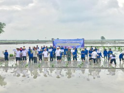 Ditjen TP Adakan Rapat Koordinasi Luas Tambah Tanam dan Kunjungan Kerja di Lamongan