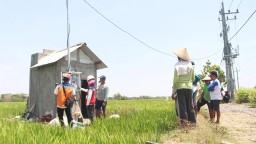 Momen Tahun Baru PLN Dukung Tranformasi Pertanian Modern, Electrifying Agriculture Raih 53.539 Pelanggan Baru di 2024