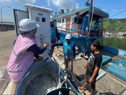 Di Tahun Baru Imlek, PLN Sukses Pasok 47,32 GWh untuk Dukung Sektor Perikanan