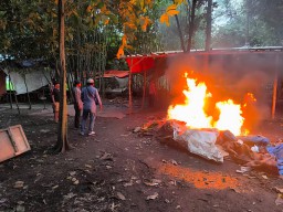 Polsek Tarik Gerebek Arena Judi Sabung Ayam di Kedinding, Pelaku Kabur Saat Penggerebekan