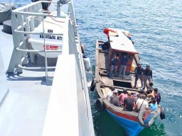 Tni Berhasil Gagalkan Penyelundupan Pekerja Migran Ilegal dan Satwa yang Dilindungi Perairan Selat M
