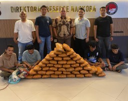 Polisi Gagalkan Peredaran 47 Kg Ganja di Sumbar, 4 Tersangka Ditangkap