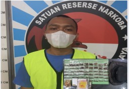 Pengedar Tembakau Sintetis dan Ganja Warga Rungkut, Ditangkap Satresnarkoba Polrestabes Surabaya