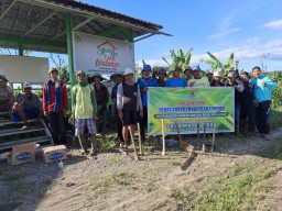 Kegiatan Padat Karya Tunai Desa ( PKTD ) Desa Waled Desa Kecamatan Waled Kabupaten Cirebon