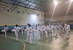 Mengenal Lebih Dalam Tehnik Dasar Karate Asal Jepang Yang Populer di Indonesia 