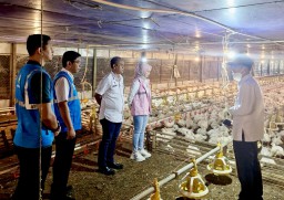 Listrik untuk Rakyat, PLN Dorong Pertumbuhan Konsumsi Listrik hingga 17,78 TWh Sepanjang 2024