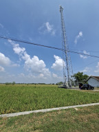Tower Protelindo di Pacarpeluk Megaluh Jombang Terancam Dibongkar, Pemilik Lahan Desak Penyelesaian Administrasi