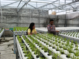 Bhabinkamtibmas Kedurus Dukung Pengembangan Pertanian Hidroponik, Panen Kangkung Dorong Peningkatan Ekonomi Masyarakat
