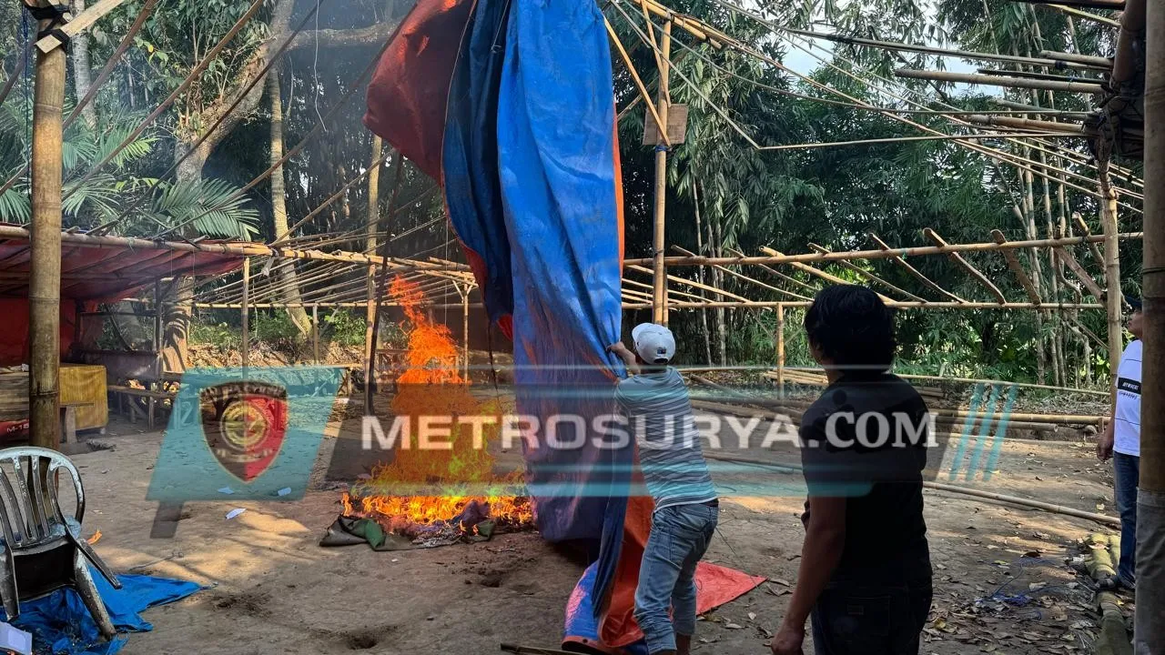 Dua Titik Lokasi Arena 303 Sambung Ayam Dibongkar Paksa Polres Malang