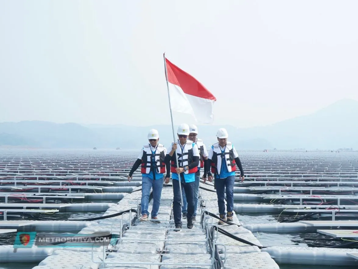 Komitmen Transisi Energi, PLN Raih Anugerah Ekonomi Hijau untuk Infrastruktur EBT Ramah Lingkungan