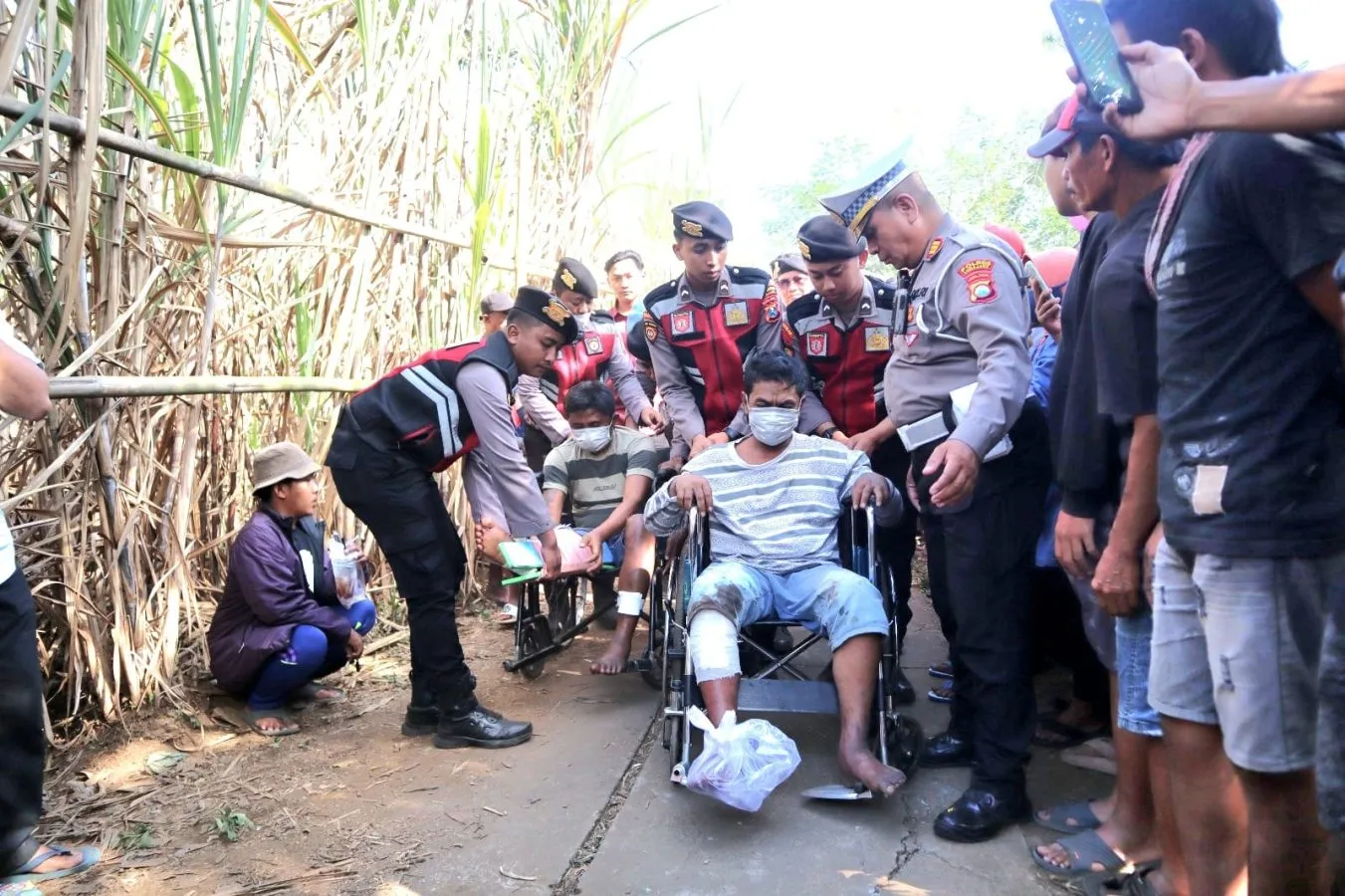 Polisi Berhasil Ungkap Komplotan Pencuri Sapi di Lumajang,Dua Tersangka Diamankan