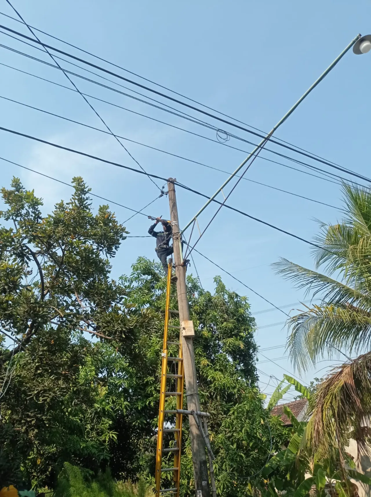 PLN Icon Plus Menata Kabel di Tiang PLN Kota Surabaya Guna Menjaga Keandalan Layanan