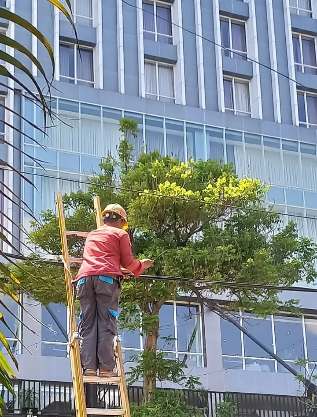 PLN Icon Lakukan Perapihan dan Pendataan kabel ilegal di Tiang PLN Kota Surabaya