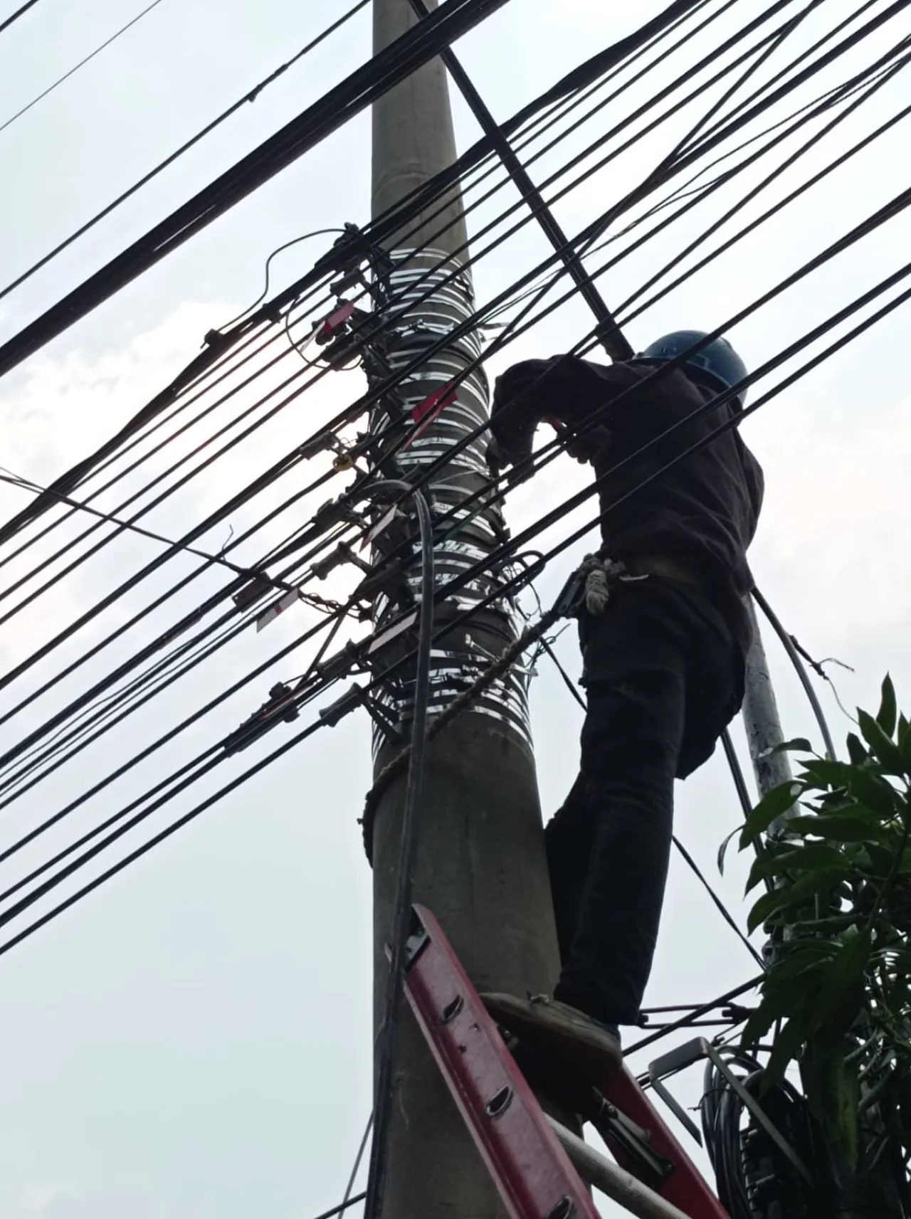 Laksanakan Penataan dan Pendataan Kabel Ilegal di Tiang PLN Sidoarjo, PLN Icon Plus Konsisten Jaga Keandalan Jaringan