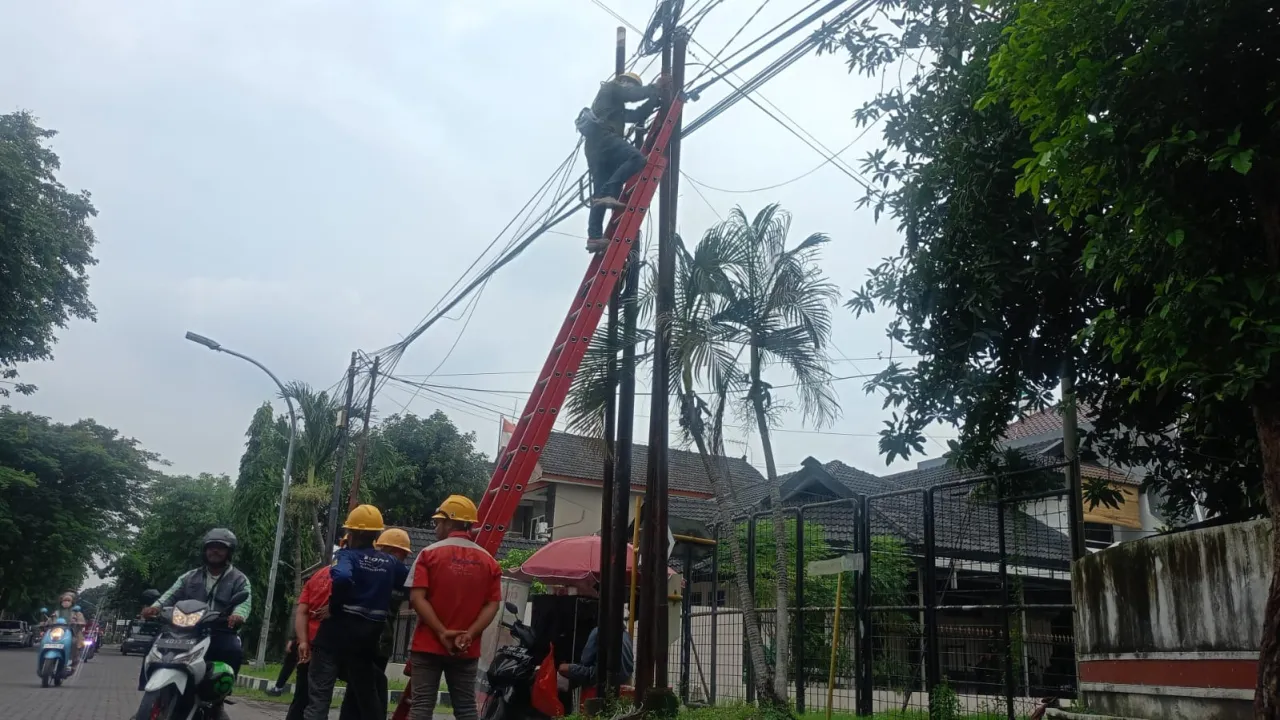 Langkah Proaktif PLN Icon Plus Tertibkan Kabel Ilegal di Tiang PLN Kota Surabaya Guna Estetika dan Keandalan Jaringan