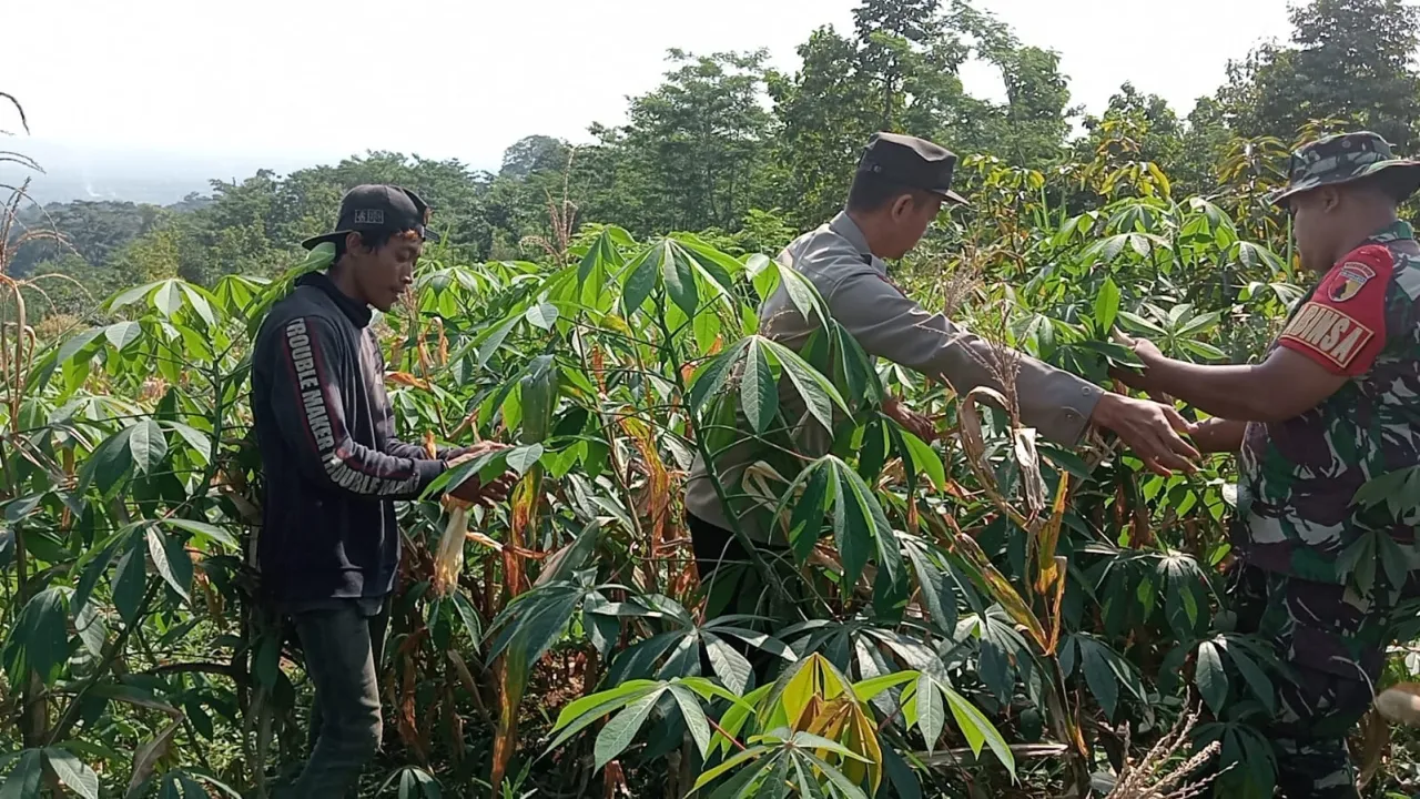 Bhabinkamtibmas Polres Pasuruan Jadi Motor Penggerak Ketahanan Pangan