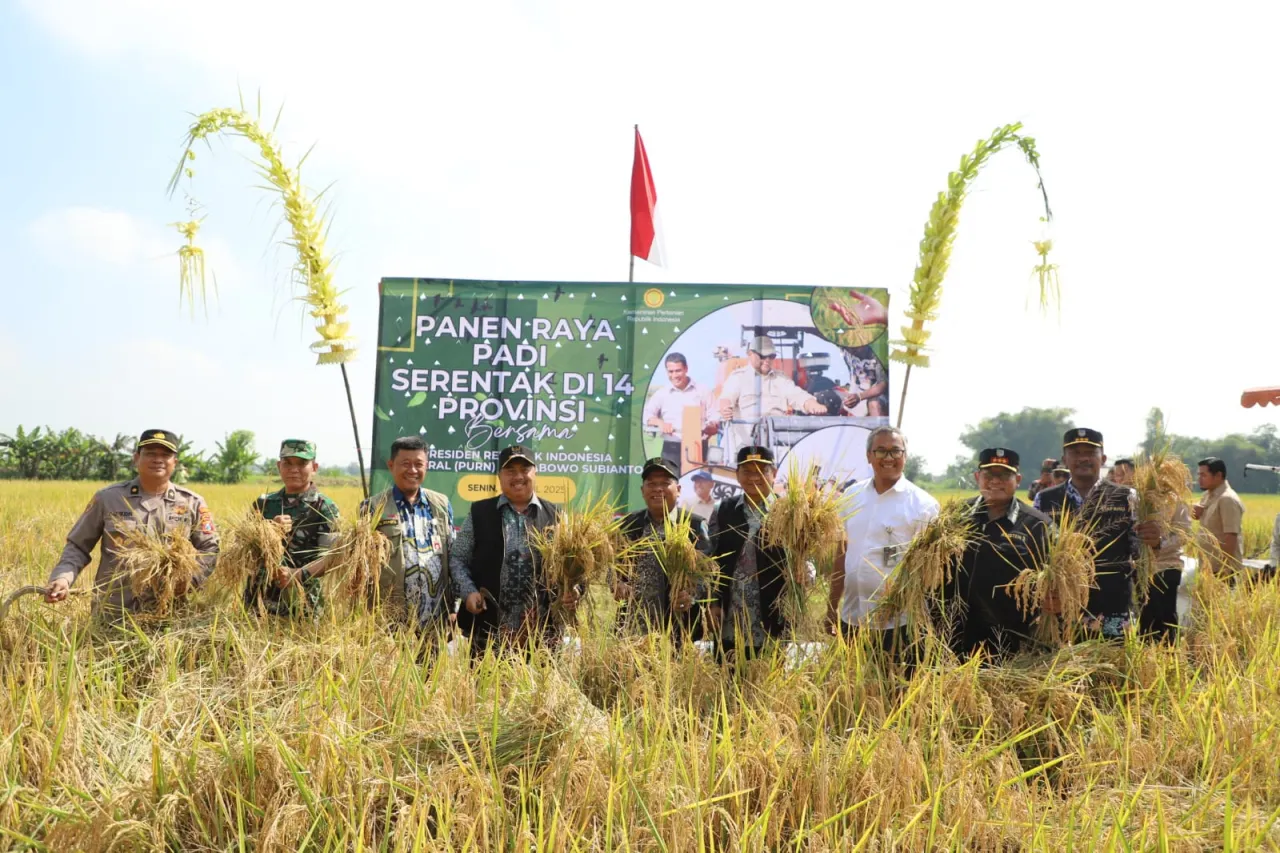 Jombang Sukseskan Panen Raya Padi Serentak Nasional Bersama Presiden Prabowo