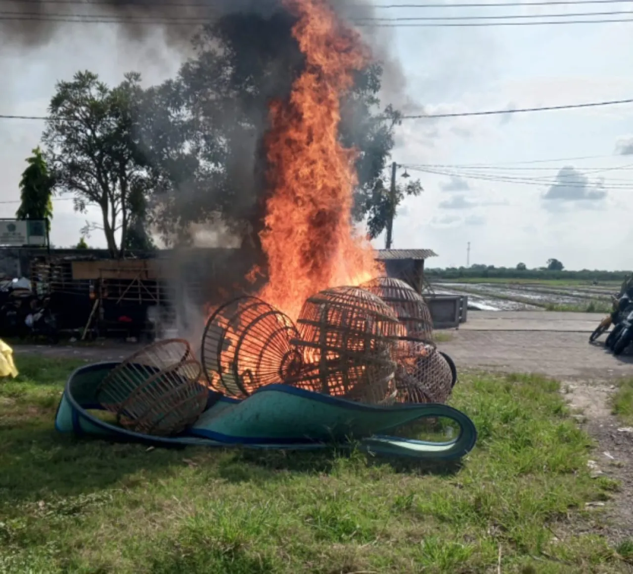 Berantas 303, Polisi Bongkar Arena Judi Sabung Ayam di TPS Sidoarjo, 24 Motor dan 16 Ayam Diamankan