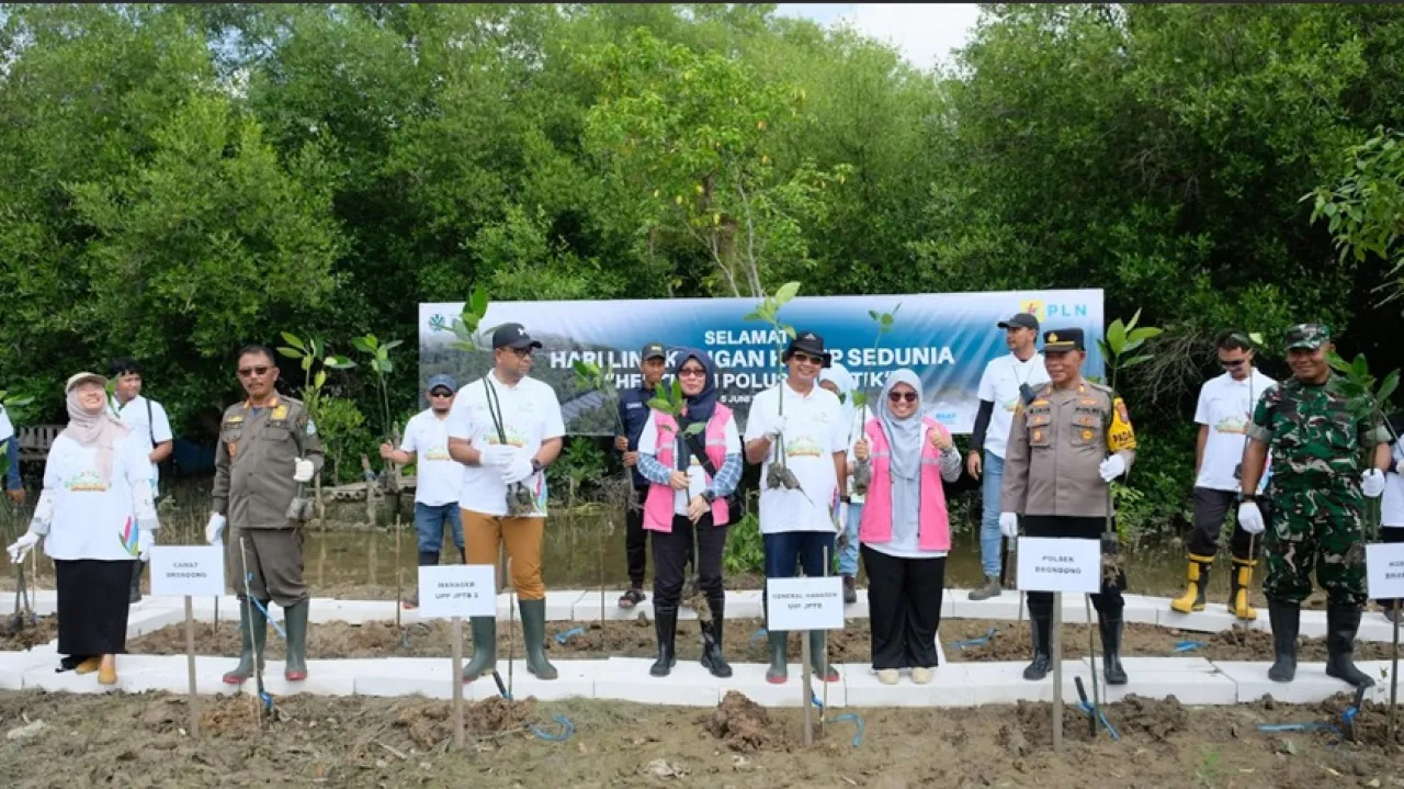 Peringati Hari Lingkungan Hidup Sedunia: Srikandi PLN UIP JBTB Tanam Mangrove di Pesisir Lamongan