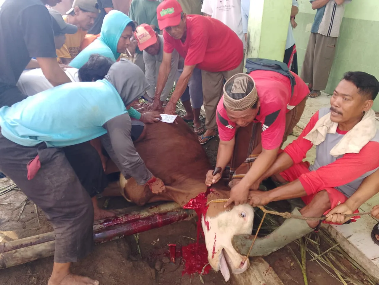 Arisan Qurban Jadi Tradisi Idul Adha di Desa Cibogo Kecamatan Waled Kabupaten Cirebon