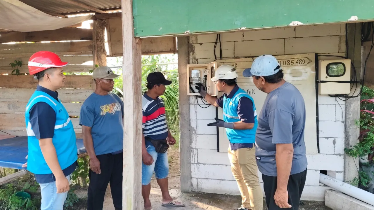 Dukung Ekonomi Kerakyatan, PLN Elektrifikasi 21 Ribu Lebih Petani Buah Naga di Banyuwangi