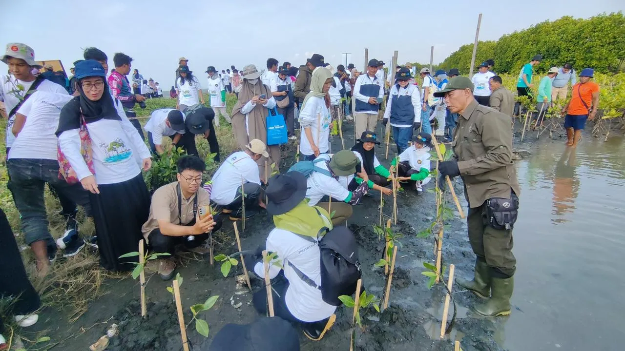 Menyambut Hari Pahlawan, PLN Rehabilitasi Mangrove Lindungi Pesisir Utara Jateng dari Banjir Rob Bersama Warga
