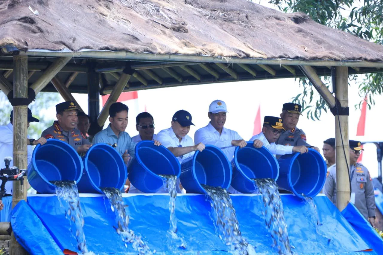 Wapres Gibran Tebar 80 Ribu Bibit Ikan Nila di Banten: Dorong Ketahanan Pangan dan Ekonomi Rakyat