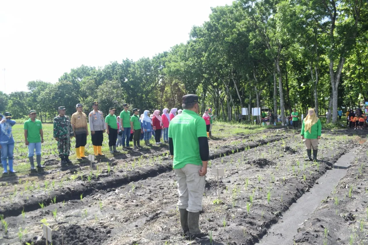 Perhutani KPH Jombang Bersama Muspika Tanam Ribuan Bibit Di Nganjuk