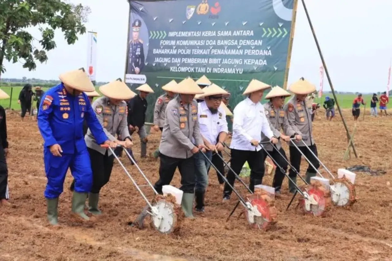 Kabaharkam Polri Pimpin Penanaman Jagung di Indramayu