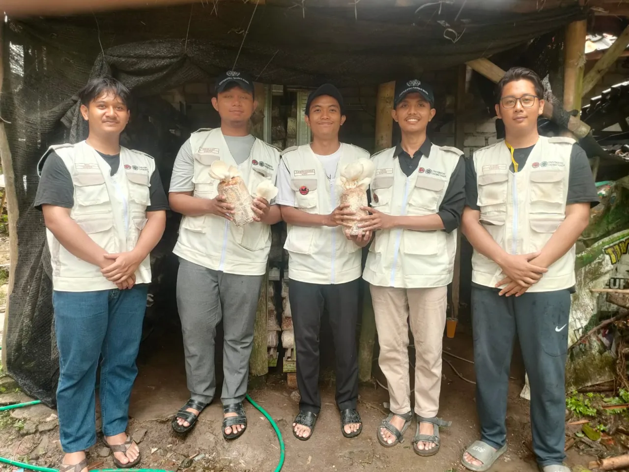 KKN Mahasiswa UGM Jogyakarta di Desa Criwik,Kunjungi Sentra Produksi Pembibitan Jamur Tiram