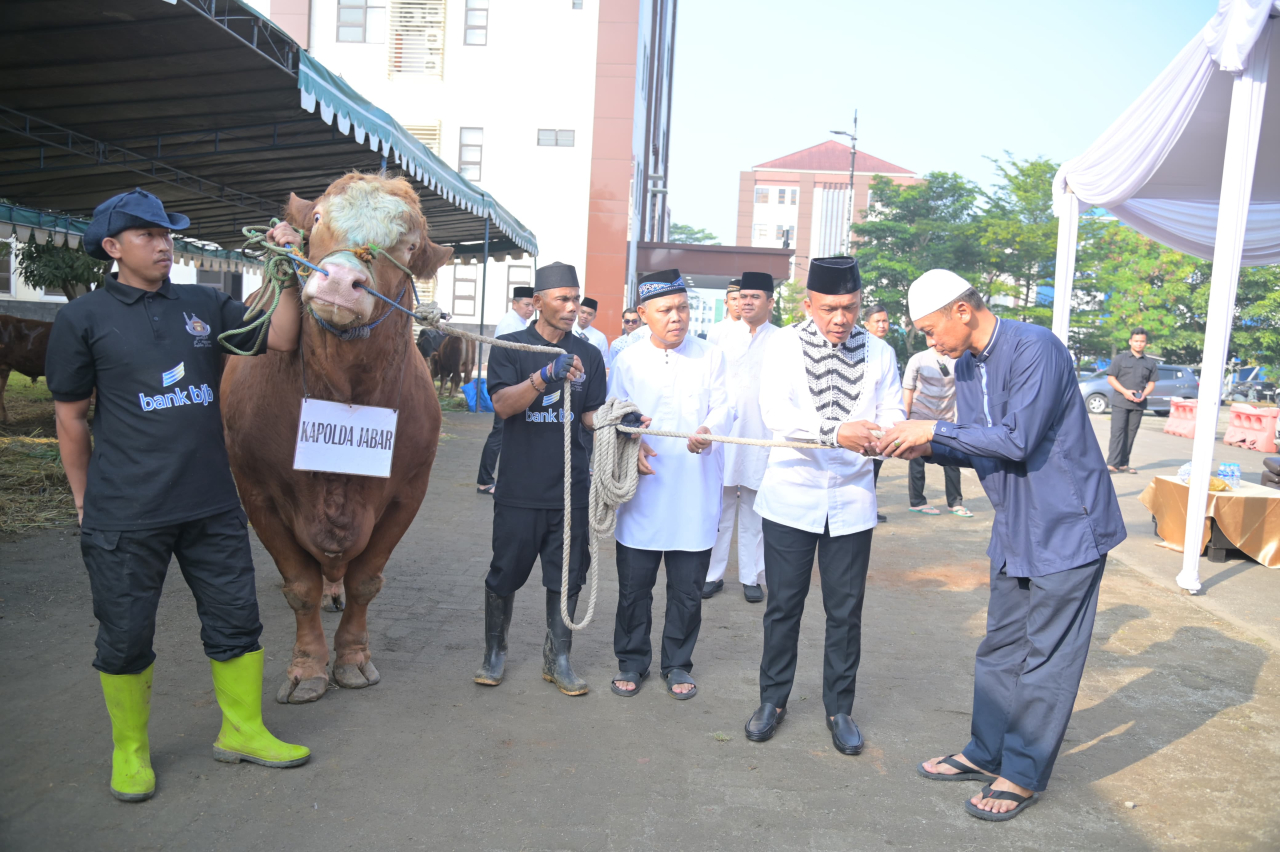 Kapolda Jabar Sumbangkan Dua Ekor Sapi Limosin untuk Pesantren