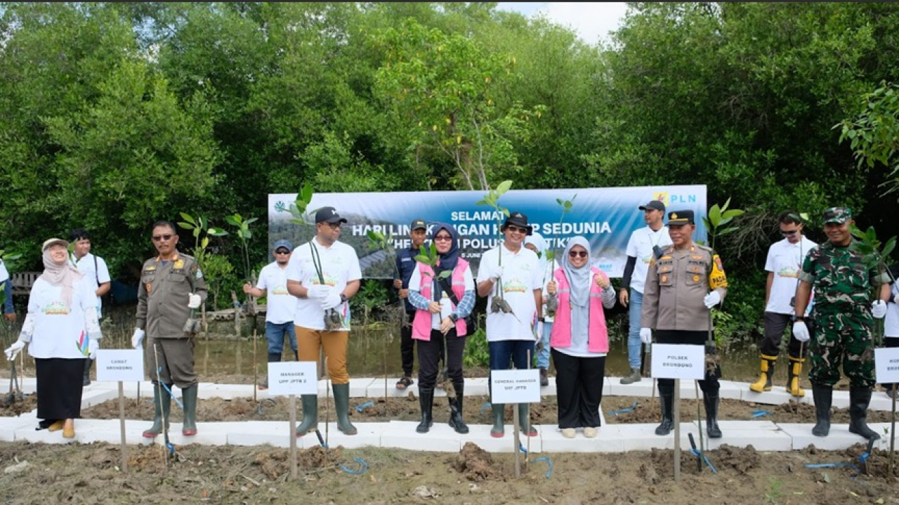Peringati Hari Lingkungan Hidup Sedunia: Srikandi PLN UIP JBTB Tanam Mangrove di Pesisir Lamongan