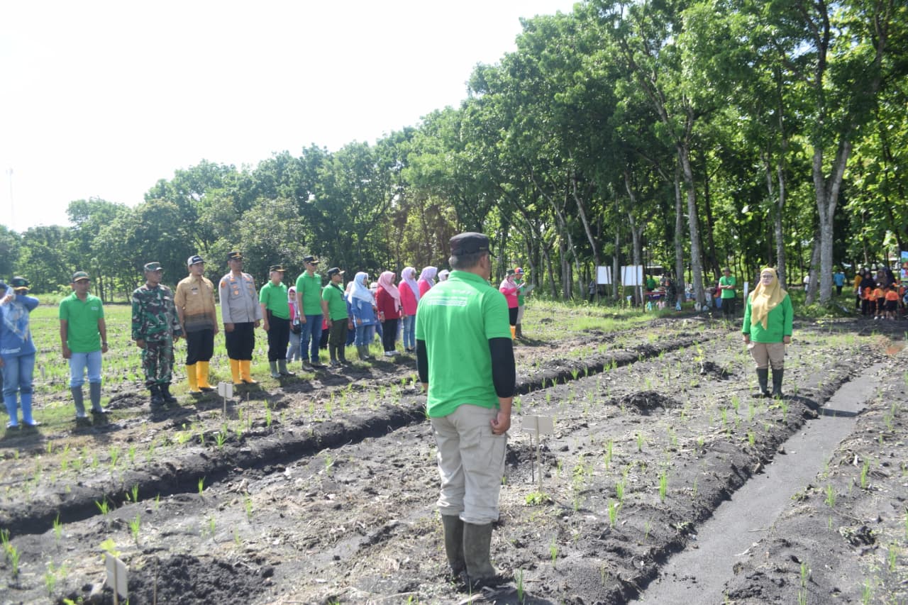 Perhutani KPH Jombang Bersama Muspika Tanam Ribuan Bibit Di Nganjuk