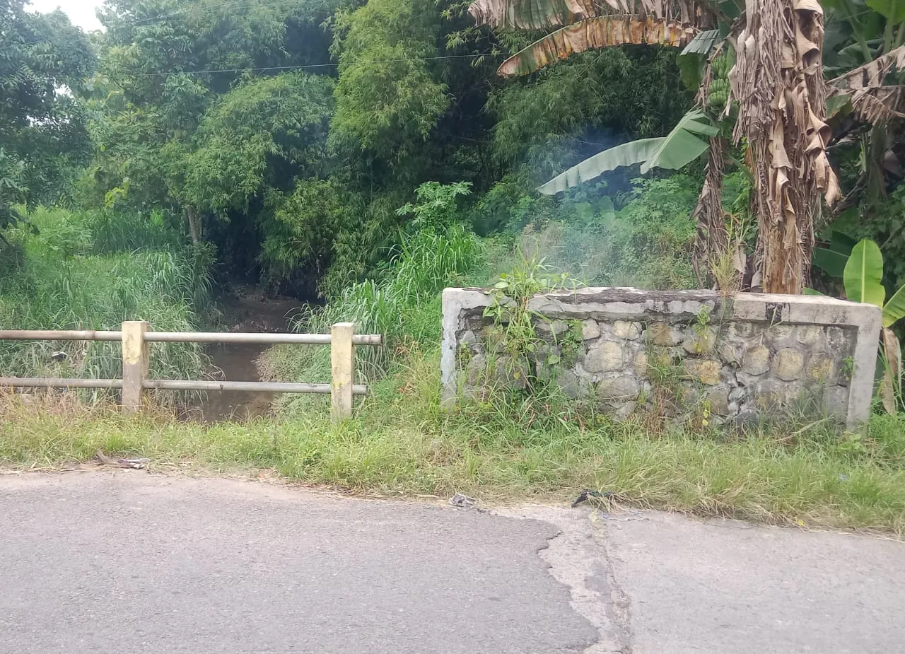 Sudah Kantongi PKKPR, Proyek Ayam Ras PT SKM Tetap Diprotes Warga