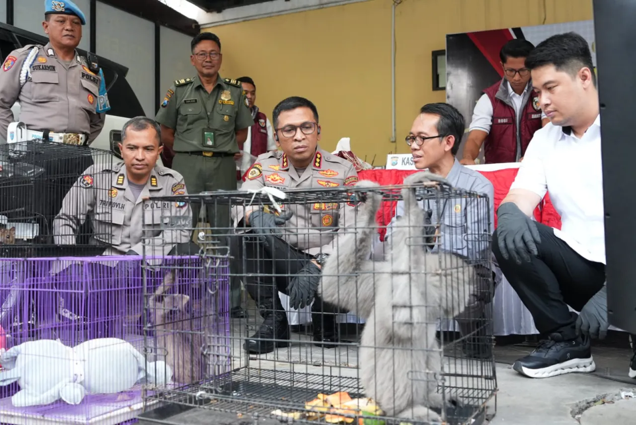 Polresta Sidoarjo Ungkap Perdagangan Ilegal Satwa Lindung Jaringan Internasional