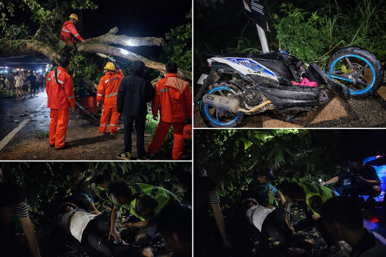 Cuaca Ekstrem, Ibu Hamil Tertimpa Pohon Tumbang di Pandaan