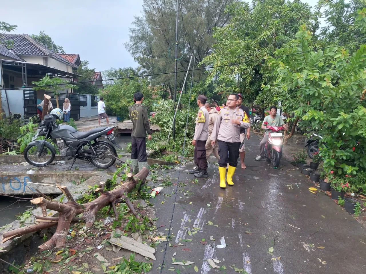 Puting Beliung Terjang Desa Muara, Puluhan Rumah dan Sekolah Rusak