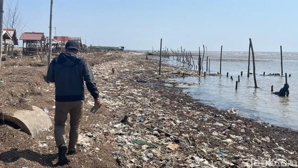 Pantai Lestari Pati Darurat Sampah, Limbah Industri Tapioka Tutupi Garis Pantai